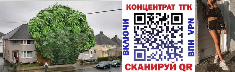 Купить закладки  Ковылкино  Дистиллят ТГК Wax 