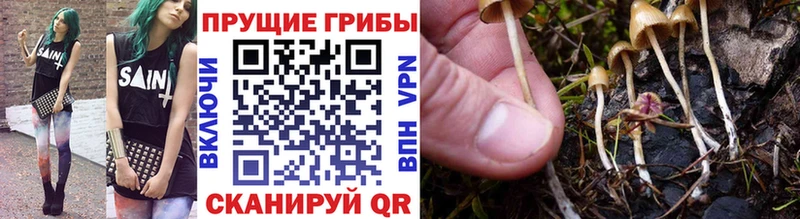 Галлюциногенные грибы ЛСД  Купить  Ковылкино 